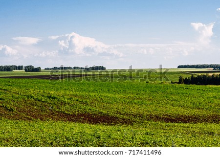 Summer fresh landscape of colorful fields, blue cloudy sky.