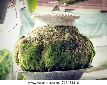 Closeup of an old traditional Northern Thailand style water container with full of moss covered on it.  This is the local wisdom for chilling the water inside.