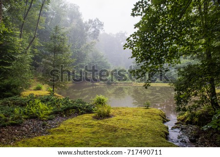 Foggy morning picture of a  mountain pond with small stream leading into it. 