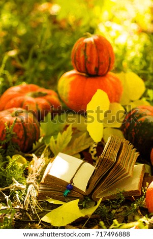 Witch book and festive Halloween pumpkins on yellow leaves