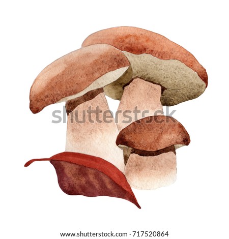 Mushrooms healthy food in a watercolor style isolated. Full name of the vegetable: mushrooms. Aquarelle wild vegetable for background, texture, wrapper pattern or menu.