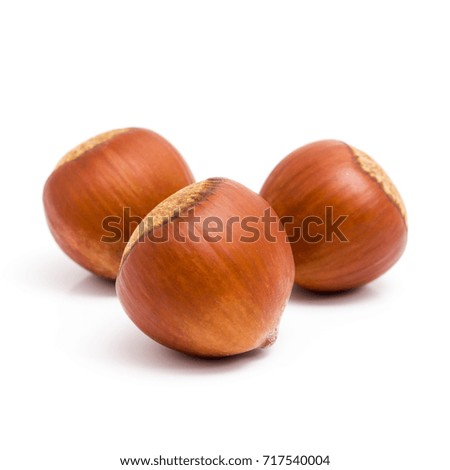 Fresh three hazelnuts isolated on white background. 