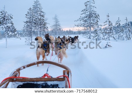 Riding husky sledge in Lapland landscape Royalty-Free Stock Photo #717568012