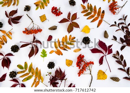 Pile of autumn leaves, pine cones nuts over white background. collection beautiful colorful leaves border from autumn elements. top view, copy space. 