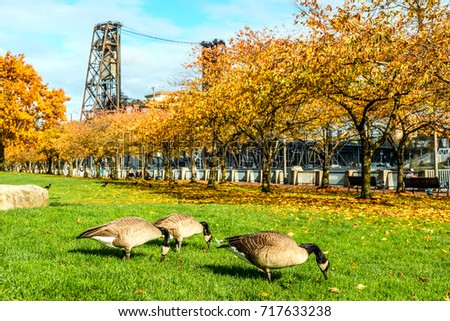 Portland city at autumn, Steel Bridge, Oregon, USA.
