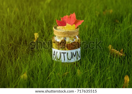 Amazing image on an autumn theme. A glass jar with autumn leaves on a clearing. Photographed under natural sunlight.