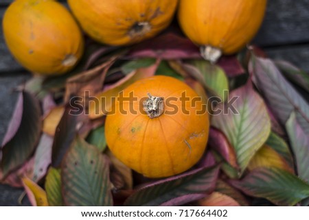 Pumpkins on a leaves background
