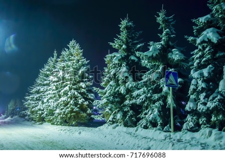 Winter night is a fabulous Christmas picture with snow on green pine trees along the road in the moonlight