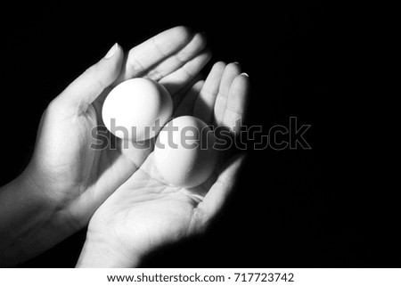 chicken egg as wallpaper / Bird eggs are a common food and one of the most versatile ingredients used in cooking