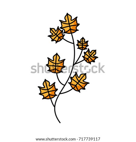 autumn tree branch leaves foliage botanical image