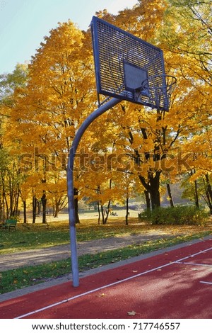 A basketball hoop in a park on a sunny autumn day,