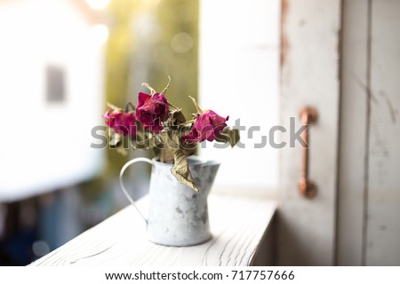 Dried flowers vase on the balcony Royalty-Free Stock Photo #717757666