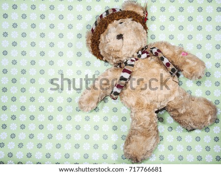 Teddy Bear on a beautiful color background..Suitable for many uses.There is space for text.