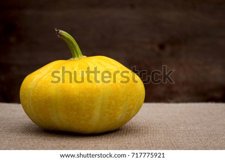 Pumpkin yellow on canvas wooden background