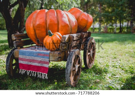 large orange pumpkins lie in a wooden cart outside on the grass amongst the rustic decor