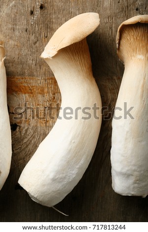 Oyster mushrooms, top view
