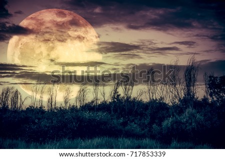 Supermoon. Night landscape of sky with dark cloudy and moon over silhouette of trees in a wilderness area, outdoor in gloaming. Serenity nature background. Vintage tone. The moon taken with my camera.