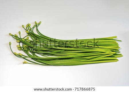 ragrant-flowered garlic