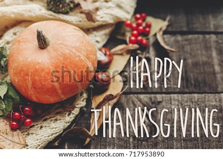 happy thanksgiving text sign, greeting card. fall image. beautiful pumpkin on sweater with berries and leaves on rustic wooden background. cozy autumn mood. fall holiday. november celebration