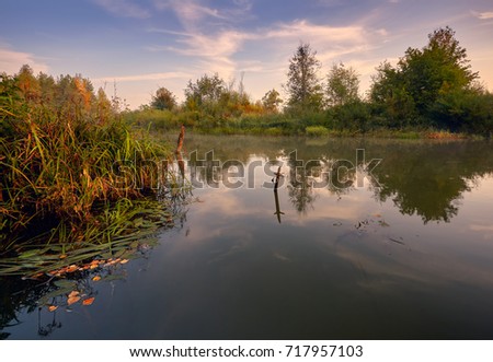 The autumn forest river with fallen leaves on water