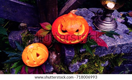 Halloween pumpkins on stone with moss in a creepy forest. Lamp on the background.