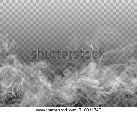 Vector realistic smoke on the transparent background.