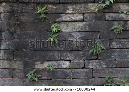 Aged Stacked Stone wall