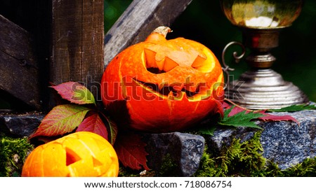 Halloween pumpkins on stone with moss in a creepy forest. Lamp on the background.