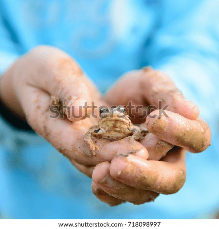 Animal Young Frog Sitting On Child Hands Outdoor Close Up