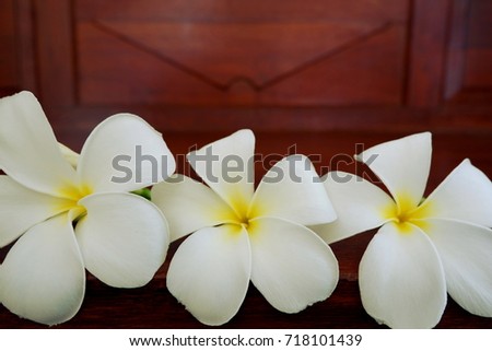wood background white flowers ,plant space for text