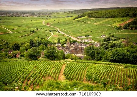 Hills covered with vineyards in the wine region of Burgundy, France Royalty-Free Stock Photo #718109089