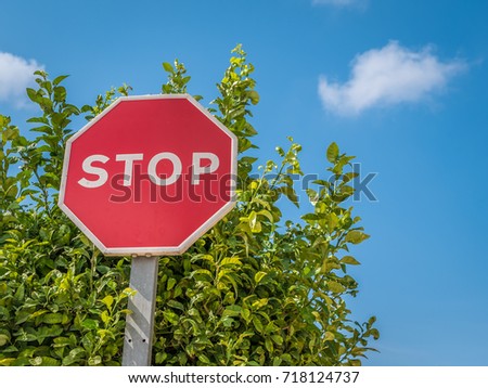 Stop sign. Tree and blue sky in background.