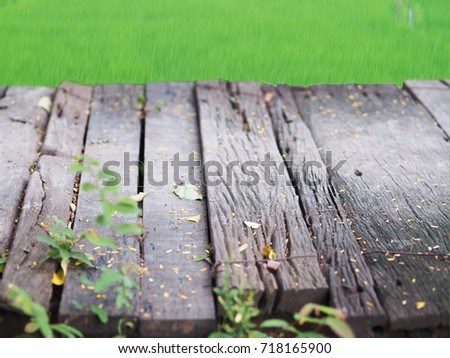 Old wooden walkway with nature