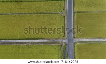 Aerial picture rice field