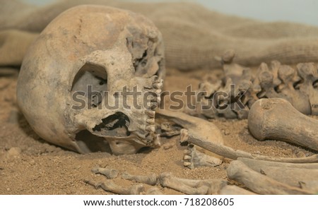 Archaeologists excavated the skeleton of a Neanderthal bones and skull with an open mouth in the ground. Prehistoric, Stone Age, Ice Age. Royalty-Free Stock Photo #718208605