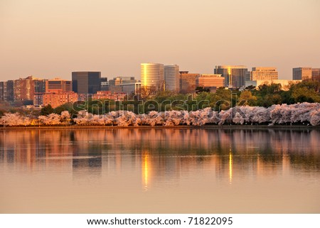 Government and corporate of Rosslyn, VA with cherry blossom reflecting in Tidal Basin in sunrise, USA
