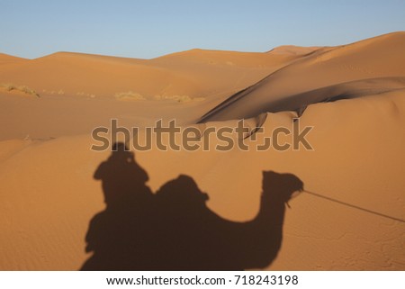 Sahara dunes, shade from a camel