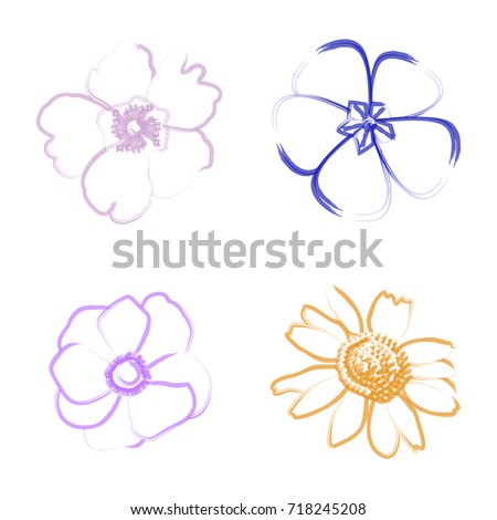 Set of flower outlines on a white background, Vector illustration