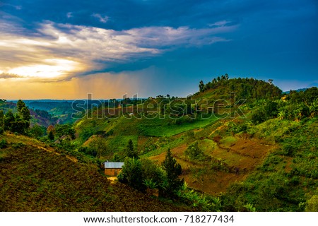 Sunset over the tea growing hills near Bwindi and Queen Elizabeth National Park, Uganda, Central Africa Royalty-Free Stock Photo #718277434