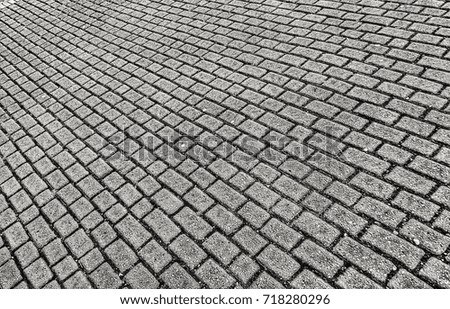 Paving stones on a drive or walk way