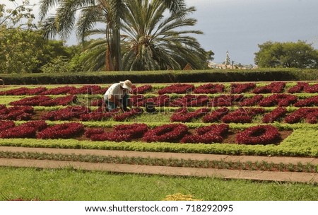 Botanical garden, Funchal, Madeira, Portugal