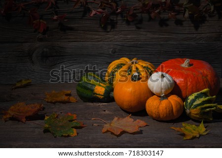 Pumpkins on wooden background, autumn still life
