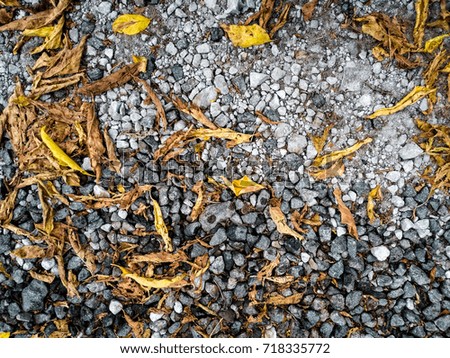 Yellowed leaves, fallen on the stones of the gravel