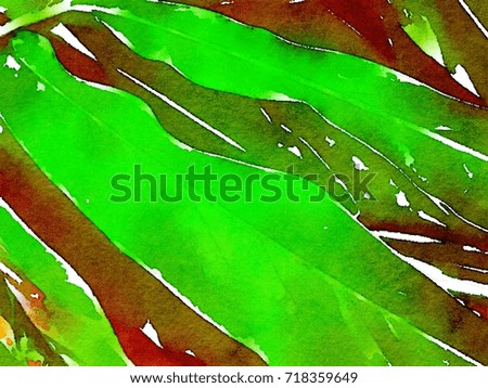 Green Leaves and Branch, Nature Background Concept , Abstract Watercolor Drawings Lined Art Colorful illustration for Wallpaper Theme Template Style