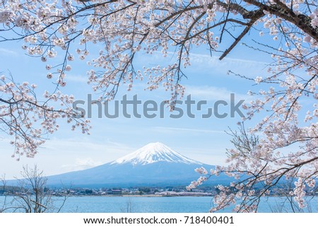 Mount Fuji and cherry blossoms