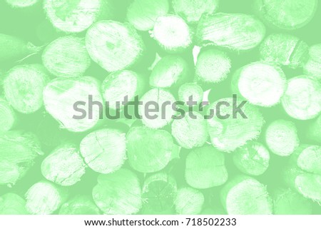 Green color texture pattern abstract background can be use as wall paper screen saver brochure cover page or for presentations background or articles background also have copy space for text.

