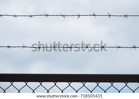 Barbed wire and fence