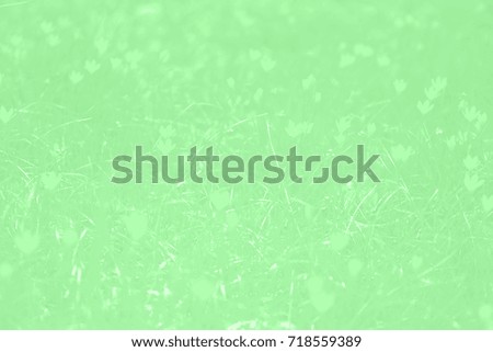 Green color texture pattern abstract background can be use as wall paper screen saver brochure cover page or for presentations background or articles background also have copy space for text.