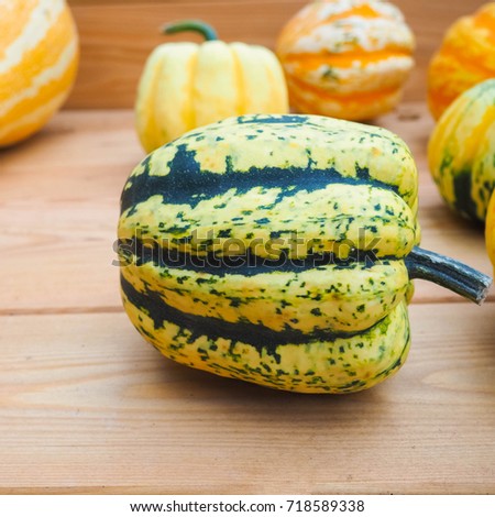 different green, yellow gourd-like harvest red tomatoes and green cucumbers, concept for autumn, harvest to