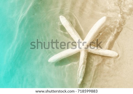 Starfish on the sea summer beach.. Summer background. Summer time.
